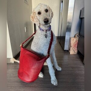 Zig with Coach! For Lootshop!